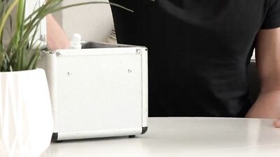 Porny Pleasure Returns - A Gay Porn Video with Muscle Boys and Bareback Action!