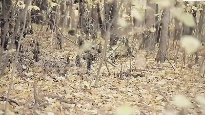 Bareback And Pee Gay Porn Videos: Cum Shots And Pissing Fun!