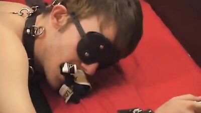 Gay Porn Videos : Masters Willing Slave