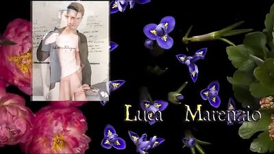 Interracial Oral Group Sex: The Ultimate Thrill - @ Interracial - 028