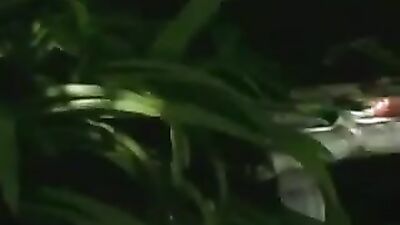 Bachelor Party - Gay Porn Full Length Movie!