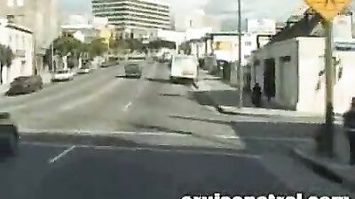 Boarding the Fuck Bus: The Ultimate Twink Experience!