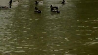 Bareback Interracial Oral Twink Threesome: Hot and Steamy Action!