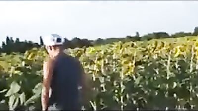 Among The Sunflowers: Twinks in the Countryside - Gay Porn Videos