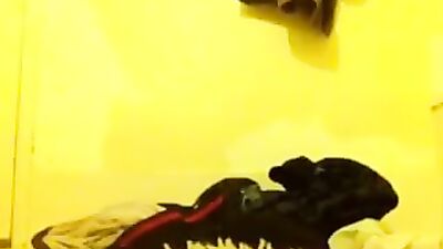 Gay Porn Cute Amateur Boy Bathroom Solo Tube - Hardcore Gay XXX Action