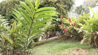 Wild Bareback Twink Fun in the Sun!