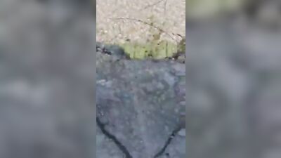 Hidd*enCam Nudist Beach Spy Cam: Latino Big Cocks Fun Amateur Ass Play!