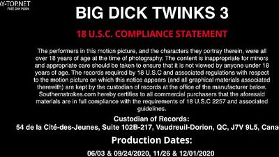 Soutstrok Hot Big Dick Twinks: The Ultimate Gay Porn Action!