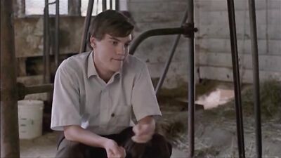 Gay Porn Hard-Fuck!: Straight Boys, Big Cocks and Frat Fun