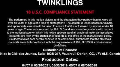 Gangbang Twinks: Hot Oral Action Bareback Thrills!