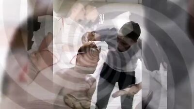 Gay Porn Frat Mix - Big Cocks, Fun and Oral Delights