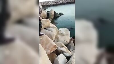 Buddys Bisexual Frat Boys First Time Public Oral Kinky Beach Watersports Pissing Straight Boys Fun Blond Fetish.