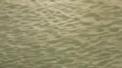 Let’s jerk off together ???????????? NUDITY BEACH