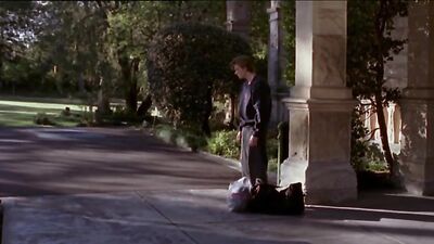 Grammar : The Ultimate Bullying Experience