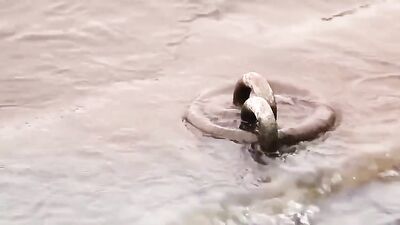 Passionate Pounding - 007: A Romantic Encounter of Two Men