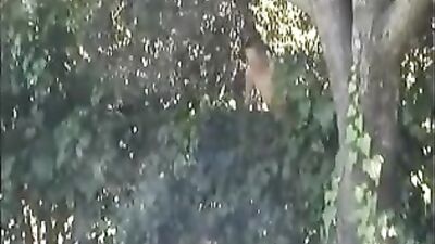 Flip Flopping with Sammy: Beach Boys Porn on the Go!