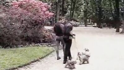 Garcons dEtage La Suite - The Ultimate Gay Porn Experience!