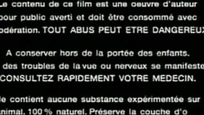 Garcons dElite - Vintage Gay Porn: Action-Packed Oral Delights