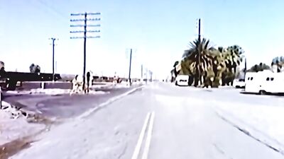 The Vintage Experiment - Gay Porn Videos Full Length Action Oral Movie