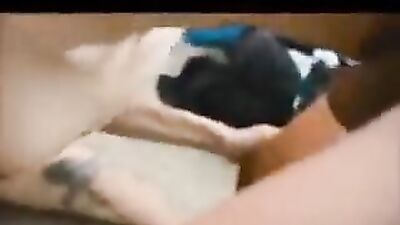 Taken Twinks Big Cock Blowjob Journey!