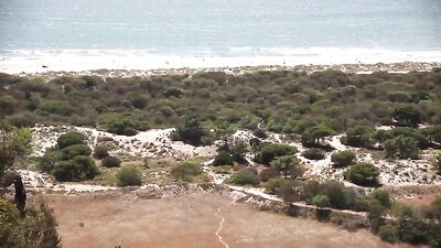 Beach Cruising: Gay Porn Adventure - Explore the Wild Side with Hotties on the Sand!