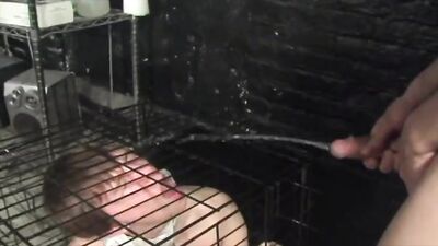 Caged Fag Piss Slave: A Gay Fetish Video Adventure!