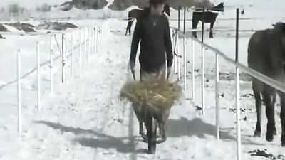 Gay Porn Videos - Young Men Seeking One-Night Stands