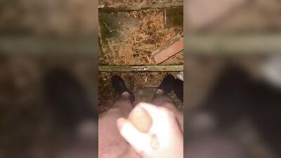 Cumming outside alone - Public Cum Shot Fun