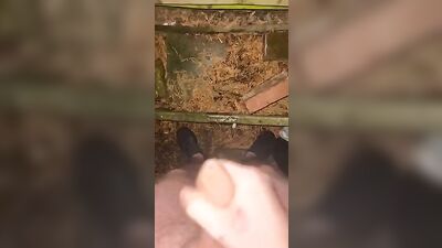 Cumming outside alone - Public Cum Shot Fun