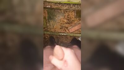 Cumming outside alone - Public Cum Shot Fun