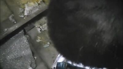 German Cock Worship - Abandoned Factory Encounter