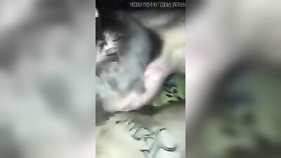 Older Friends Dick Sucking Amateur Oral Straight Boys - Mix Cum Shots