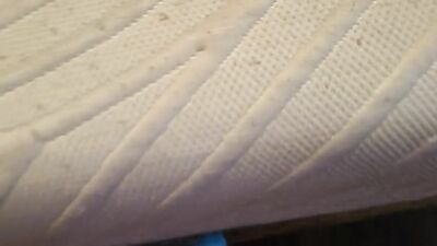 Gay Twink Porn Boys Cum: Flesh Jack Fun Reignites the Passion!