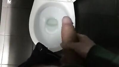 Cum in Public: Risky JO in the Toilet!