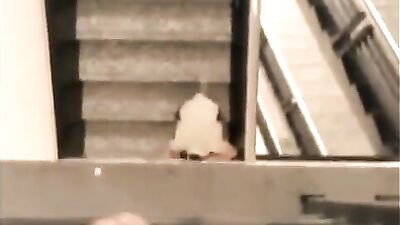 College Cum Kings: Frat Boys Take Over the Campus!