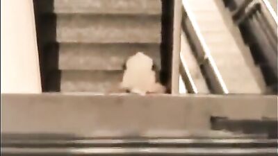 College Cum Kings: Frat Boys Take Over the Campus!