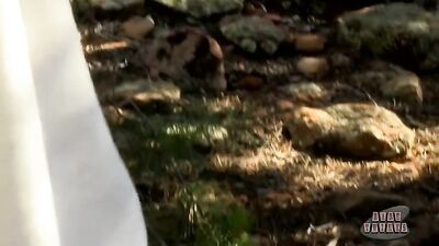 Gay Furry Desires Porn Tube