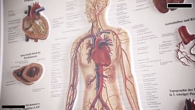 Doctors Orifice Examination: Bareback Twink Cumshots