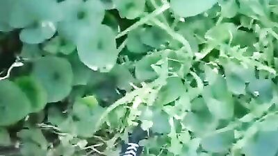 Naked Boys Bareback Fun: Amateur Cam Boys Porn!