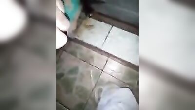 Gay Porn - Mexican Dicks Latino Boys Hung Cam!