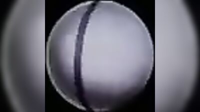 Halloween Chaos in Joes Apartment: Frat Guys and Interracial Fun with Cockroaches!