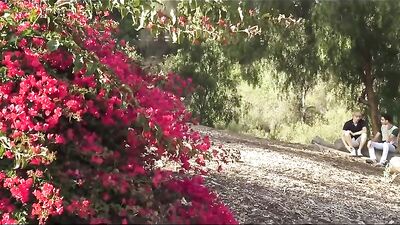 Gangbang Twink Sex - Lets Go Your Place!