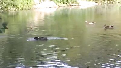 Outdoor Adventures: Road Trip Boys Porn!