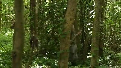 Gay Twinks in Action: Country Boys Truck Porn Outdoor Oral Cum Shots