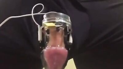 Young Twink Cumologists - A Fresh Perspective on Webcam Handjobs