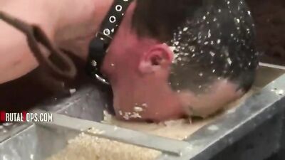 Fetish Frat Guys: Bastard Boys Urinal and Ashtray Services!