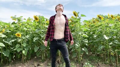 Sunflower Boys Porn: Among the Passionate Thorns