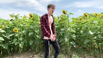 Sunflower Boys Porn: Among the Passionate Thorns