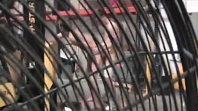 The Fresh Twinks Hot & Horny Job Interview!