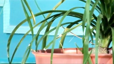 Young Twinks Fucking on the Sofa! Gay Porn Action Packed with Cum Shots